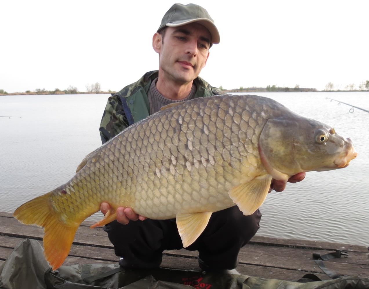 Ohat 3 27 - 30 mar. - 004a.jpg